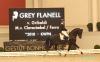 Grey Flanell vorgestellt von Frederic Wandres 
