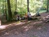 Foto vom Album: 2014 Herbstwanderung