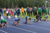 Foto vom Album: Offene Kreismeisterschaften der Leichtathleten TF 2015 in Ludwigsfelde