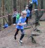 Foto vom Album: offene LM Crosslauf Berlin und Brandenburg 2015