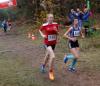 Foto vom Album: offene LM Crosslauf Berlin und Brandenburg 2015