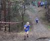 Foto vom Album: offene LM Crosslauf Berlin und Brandenburg 2015