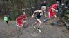 Foto vom Album: offene LM Crosslauf Berlin und Brandenburg 2015