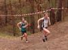Foto vom Album: offene LM Crosslauf Berlin und Brandenburg 2015