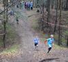 Foto vom Album: offene LM Crosslauf Berlin und Brandenburg 2015