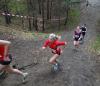 Foto vom Album: offene LM Crosslauf Berlin und Brandenburg 2015