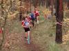 Foto vom Album: offene LM Crosslauf Berlin und Brandenburg 2015