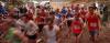 Foto vom Album: offene LM Crosslauf Berlin und Brandenburg 2015
