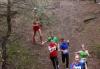 Foto vom Album: offene LM Crosslauf Berlin und Brandenburg 2015