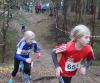 Foto vom Album: offene LM Crosslauf Berlin und Brandenburg 2015