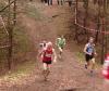 Foto vom Album: offene LM Crosslauf Berlin und Brandenburg 2015