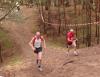 Foto vom Album: offene LM Crosslauf Berlin und Brandenburg 2015