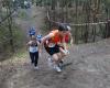 Foto vom Album: offene LM Crosslauf Berlin und Brandenburg 2015