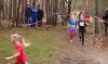 Foto vom Album: offene LM Crosslauf Berlin und Brandenburg 2015