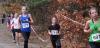 Foto vom Album: offene LM Crosslauf Berlin und Brandenburg 2015