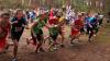 Foto vom Album: offene LM Crosslauf Berlin und Brandenburg 2015