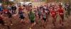 Foto vom Album: offene LM Crosslauf Berlin und Brandenburg 2015