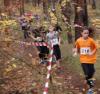 Foto vom Album: offene LM Crosslauf Berlin und Brandenburg 2015