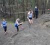 Foto vom Album: offene LM Crosslauf Berlin und Brandenburg 2015
