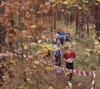 Foto vom Album: offene LM Crosslauf Berlin und Brandenburg 2015