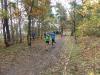Foto vom Album: offene LM Crosslauf Berlin und Brandenburg 2015