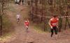 Foto vom Album: offene LM Crosslauf Berlin und Brandenburg 2015