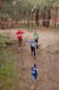 Foto vom Album: offene LM Crosslauf Berlin und Brandenburg 2015