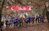 Foto vom Album: offene LM Crosslauf Berlin und Brandenburg 2015