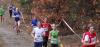 Foto vom Album: offene LM Crosslauf Berlin und Brandenburg 2015