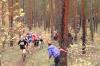 Foto vom Album: offene LM Crosslauf Berlin und Brandenburg 2015