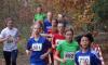 Foto vom Album: offene LM Crosslauf Berlin und Brandenburg 2015