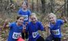 Foto vom Album: offene LM Crosslauf Berlin und Brandenburg 2015