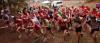 Foto vom Album: offene LM Crosslauf Berlin und Brandenburg 2015