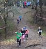 Foto vom Album: offene LM Crosslauf Berlin und Brandenburg 2015