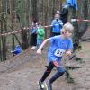 Foto vom Album: offene LM Crosslauf Berlin und Brandenburg 2015