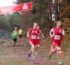 Foto vom Album: offene LM Crosslauf Berlin und Brandenburg 2015
