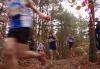 Foto vom Album: offene LM Crosslauf Berlin und Brandenburg 2015