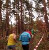 Foto vom Album: offene LM Crosslauf Berlin und Brandenburg 2015