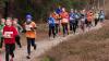 Foto vom Album: 2. Lauf der 34. LLG-CLS 2016 und Kreismeisterschaften TF Crosslauf