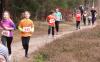 Foto vom Album: 2. Lauf der 34. LLG-CLS 2016 und Kreismeisterschaften TF Crosslauf