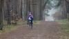 Foto vom Album: 4. Lauf und Finale der 34. LLG-CLS 2016
