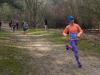 Foto vom Album: 14. Ludwigsfelder Frühlingslauf 2016
