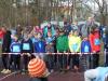 Foto vom Album: 14. Ludwigsfelder Frühlingslauf 2016