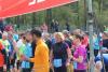 Foto vom Album: 42. Lauf um die Römerschanze Rangsdorf  2016