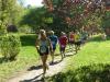 erste Runde Adina