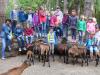 Foto vom Album: Wandertag Flex B Tierpark Perleberg