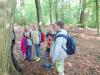 Foto vom Album: Waldjugendspiele in Gadow 2016  Klasse 4