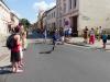 Foto vom Album: 23. Turmfestlauf 2016 - 800 -Jahr Feier von Luckenwalde