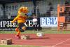 Foto vom Album: XI. Kinder- und Jugendsportspiele des Landessportbundes Brandenburg (LSB)