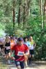 Foto vom Album: 7. Pekenberglauf 2016